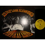 13th Floor Elevators - Fire in my Bones 13th Floor Elevators - Fire in my Bones