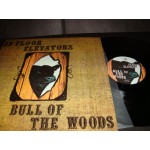 13th Floor Elevators - bull of the woods