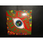13th Floor Elevetors - the psychedelic sounds of 13th Floor Elevetors - the psychedelic sounds of