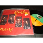 4 Non Blondes - What's Up 4 Non Blondes - What's Up