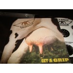 Aerosmith - Get a Grip Aerosmith - Get a Grip