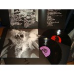 Afghan Whigs - Do To The Beast Afghan Whigs - Do To The Beast
