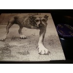 Alice in Chains Alice in Chains