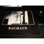 Bauhaus - In the Flat Field