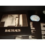 Bauhaus - In the Flat Field