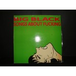 Big Black - songs about fucking
