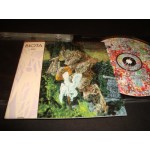 Biota - Almost never Biota - Almost never