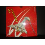 Birdhouse - Meglamania Birdhouse - Meglamania