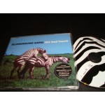 Bloodhound Gang - the bad touch / Along comes Mary Bloodhound Gang - the bad touch / Along comes Mary