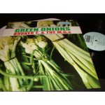 Booker T. & The MG's - Green Onions Booker T. & The MG's - Green Onions