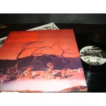 C.A.Quintet - Trip Thru Hell C.A.Quintet - Trip Thru Hell