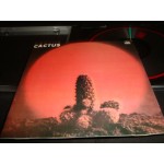 Cactus Cactus