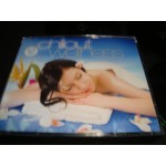 Chillout Wellness - Various Lounge Chillout Wellness - Various Lounge