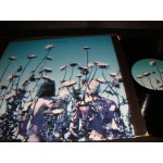 Creatures{ Siouxsie and the Budgie } - Boomerang Creatures{ Siouxsie and the Budgie } - Boomerang