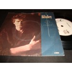 Don Henley - The Boys of Summer Don Henley - The Boys of Summer