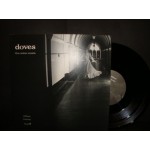 Doves - the ceder room  / zither karen