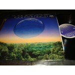 Earthrise II / Artists for the Environment Earthrise II / Artists for the Environment