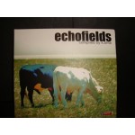 Echofields - compiled by / K.bhta Echofields - compiled by / K.bhta