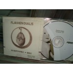 Flamen Dialis - Symptome Dei Flamen Dialis - Symptome Dei