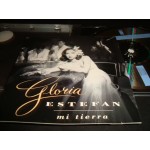 Gloria Estefan - mi tierra