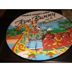 Jive Bunny and the Mastermixers - thats what I like