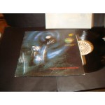 Loop Guru - Duniya (The Intrinsic Passion Of Mysterious Joy) Loop Guru - Duniya (The Intrinsic Passion Of Mysterious Joy)