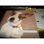 Marc Moulin - Entertainment Marc Moulin - Entertainment