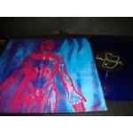Nirvana - Sliver dive &about a girl (live) Nirvana - Sliver dive &about a girl (live)