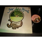 Peter Hammill - Chameleon In The Shadow Of The Night Peter Hammill - Chameleon In The Shadow Of The Night