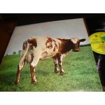 Pink Floyd  - Atom Heart Mother