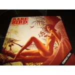 Rare Bird - Sympathy Rare Bird - Sympathy