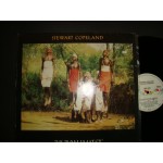 Stewart Copeland - the rhythmatist