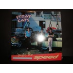 Stray cats - built for speed