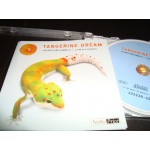 Tangerine Dream - live in London / Valentine Wheels Tangerine Dream - live in London / Valentine Wheels