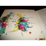Voices of Beauty - Compilation Lounge / Electronica Voices of Beauty - Compilation Lounge / Electronica