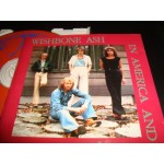 Wishbone Ash - In America and Over Japan