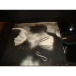 C.S. Angels - Chasing Shadows C.S. Angels - Chasing Shadows