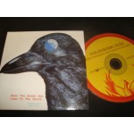  Strawberry Path ‎– When The Raven Has Come To The Earth 