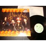 4 Non Blondes-Bigger, Better, Faster, More!-German LP 4 Non Blondes-Bigger, Better, Faster, More!-German LP