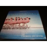 Cinematic Orchestra - Crimson Wing: Mystery Of the Flamingos Cinematic Orchestra - Crimson Wing: Mystery Of the Flamingos