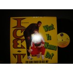 ICE-T / what ya wanna do - the girl tried to kill me ICE-T / what ya wanna do - the girl tried to kill me