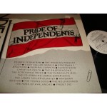 Indie Top 20 Vol VI /  Pride of Independents