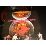 Iron Butterfly - In a gadda da vida Iron Butterfly - In a gadda da vida