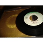 Liquid Gold - Anyway you do it / My Baby's Baby