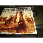 Lynyrd Skynyrd - The Last Rebel