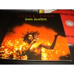 Peter Tosh - Bush Doctor Peter Tosh - Bush Doctor