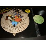 Samson - Live at Reading 81