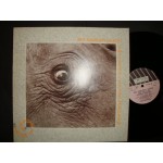 Sky Sunlight Saxon - Universal Stars Peace Band