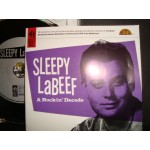 Sleepy Labeef - A Rockin' Decade