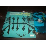 Sonics - Introducing The Sonics